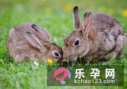 孕妇梦见蛆是什么意思 是生男孩还是女孩