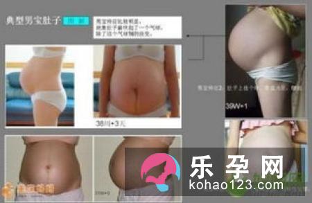 孕妇梦见燕子是什么意思 是生男生女