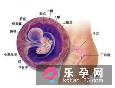 卤门闭合对宝宝有什么影响 怎么清洗