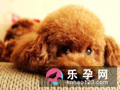 孕妇梦见吃生鱼是什么意思 是胎梦吗