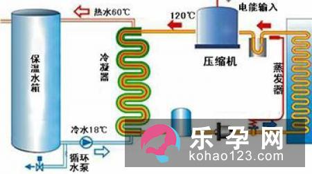 怎么才能生龙凤胎 原理是什么