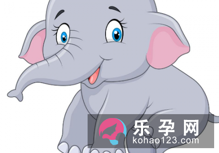 孕妇梦见大象是什么意思 是生男生女 孕妇梦见大象是什么意思 是生男生女