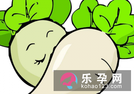 孕妇梦见白萝卜是什么意思 是生男生女 孕妇梦见白萝卜是什么意思 是生男生女
