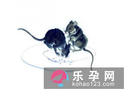 蚯蚓放屁打一成语 土里土气是什么生肖