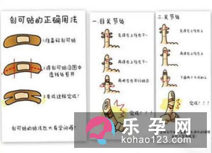 胎儿的性别鉴定可以靠技术吗