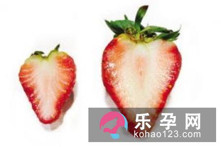 草莓会使宝宝性早熟吗 多大可以吃 草莓会使宝宝性早熟吗 多大可以吃