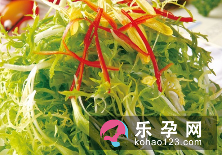 苦菊宝宝可以吃吗 有什么好处 苦菊宝宝可以吃吗 有什么好处