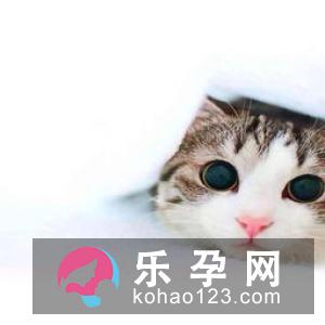 金银铜铁打一城市地名 无锡在哪个省哪个市