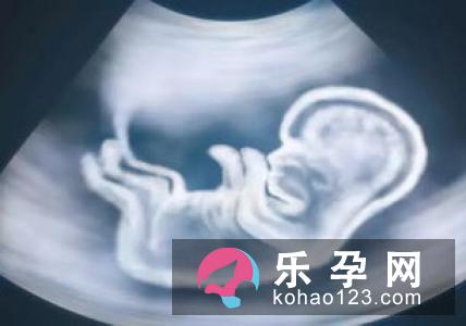 生活方式会影响胎儿性别的形成
