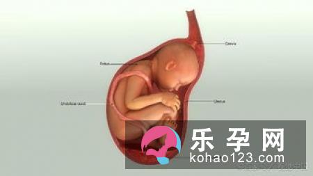 验胎灵真的可以检测胎儿性别么