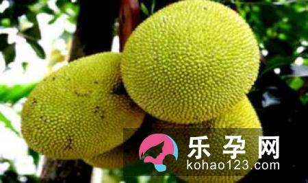 菠萝蜜哺乳期可以吃吗 吃了有什么好处