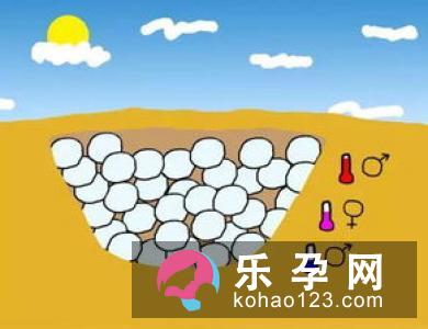 生男生女与温度高低有关吗?