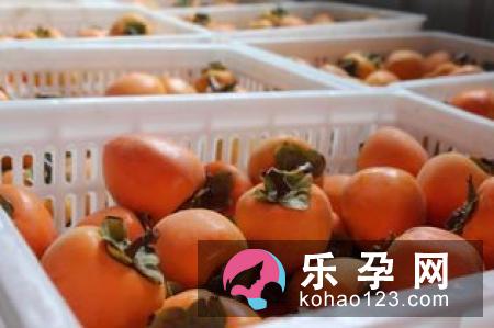 孕妇可以吃柿饼吗 吃了有什么好处 孕妇可以吃柿饼吗 吃了有什么好处