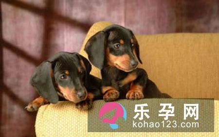 鹤立鸡群褒义还是贬义 代表什么动物 鹤立鸡群褒义还是贬义 代表什么动物