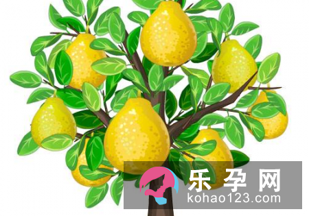 孕妇梦见梨子树是什么意思 是生男生女