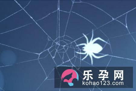 怀孕梦见螃蟹什么预兆 生男还是生女