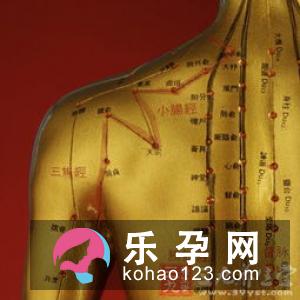 卤门是什么 有几种类型