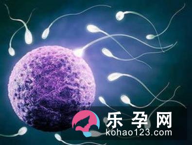 是什么在控制着胎儿的性别