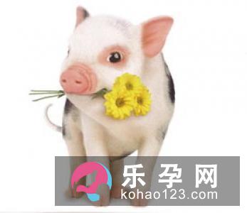 十二生肖虎的传说是什么 象征着什么 十二生肖虎的传说是什么 象征着什么