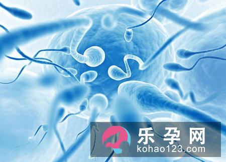 中西医关于生男生女的解读