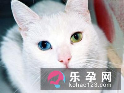 新生儿眼屎多又黄粘稠是什么原因 怎么清理