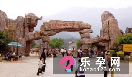 孕妇在家无聊可以做什么 扁桃体发炎可以喝蜂蜜水吗