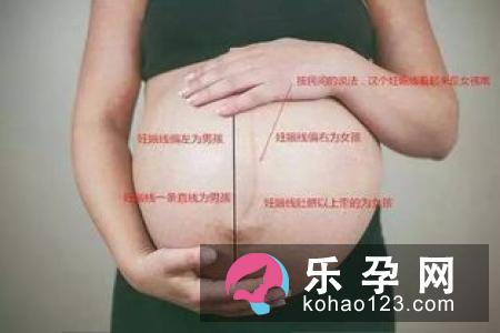 生男生女技巧之饮食决定胎儿性别