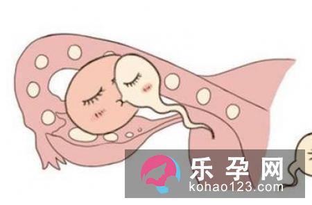 女性宫颈黏液黏度高容易生男孩