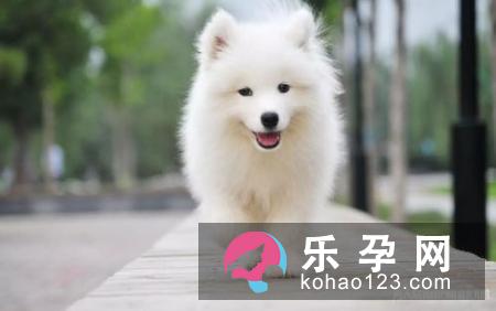 孕妇梦见吸血鬼是什么意思 有什么预兆