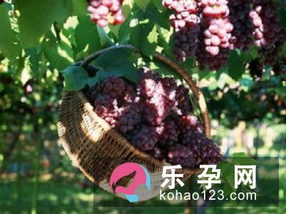 孕妇梦见槐树是什么意思 是生男生女