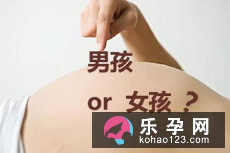 辨别胎儿性别只需掌握6大法宝
