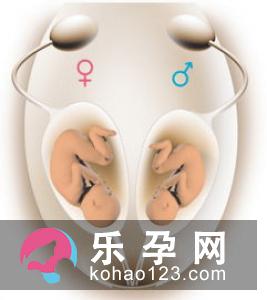 孕妇吃饭的习惯决定你生男生女 孕妇吃饭的习惯决定你生男生女