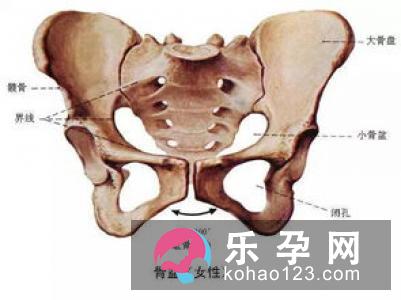 女性宫颈黏液黏度高容易生男孩