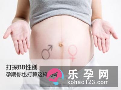 辨别胎儿性别只需掌握6大法宝