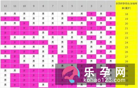 生男生女特征都是什么