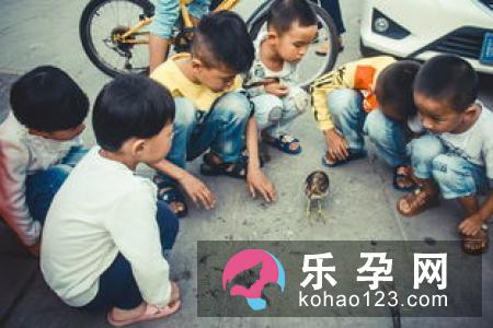生男生女应先考虑健康因素