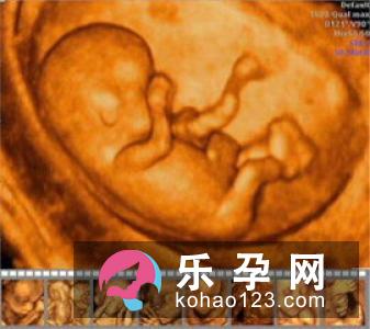识别胎儿性别的五个说法
