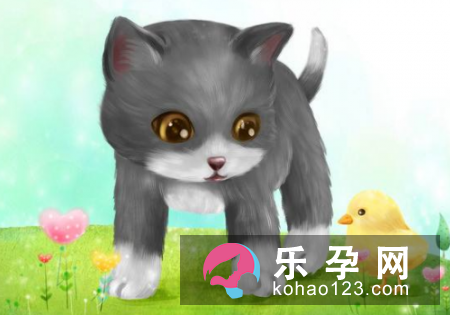 孕妇梦见猫死了是什么意思 是生男生女