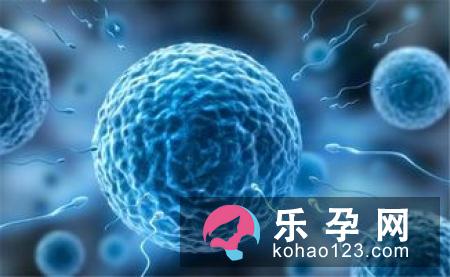 试管婴儿移植后几天着床