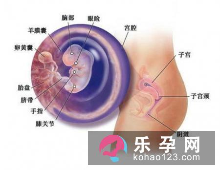 交叉腿综合症有什么表现 会影响发育吗