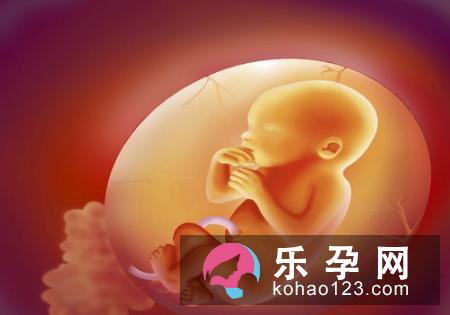 病毒感染会导致胎儿畸形吗 怎么办