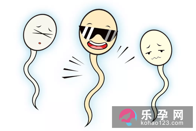 备孕三个月没怀上正常吗